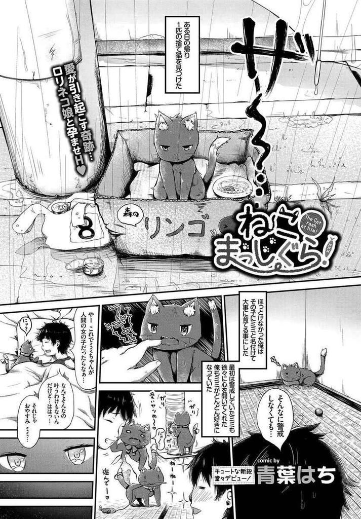 道端に捨てられていた自分を拾ってくれた飼い主に擬人化してエッチなご奉仕をしてしまうロリボディの猫耳娘...寝ている飼い主の勃起チンポにたっぷりと口マンコでご奉仕しながらロリマンコを使って絶頂中出しセックス【青葉はち:ねこまっしぐら！】